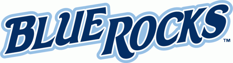 Wilmington Blue Rocks 2010-pres wordmark logo iron on transfers for T-shirts...